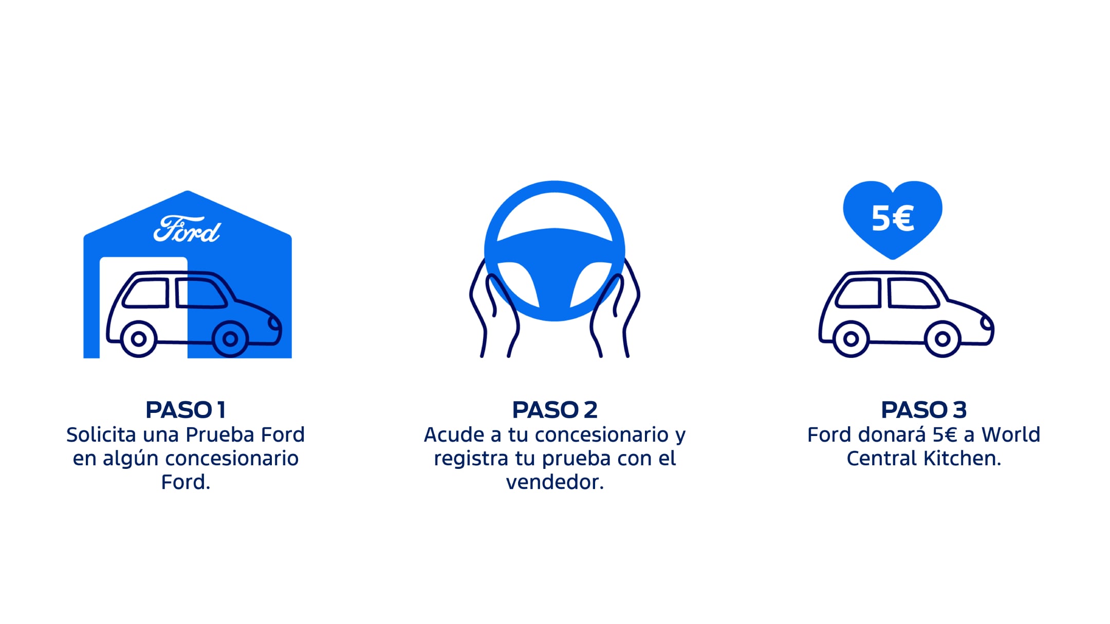 Iconos explicativos Prueba solidaria