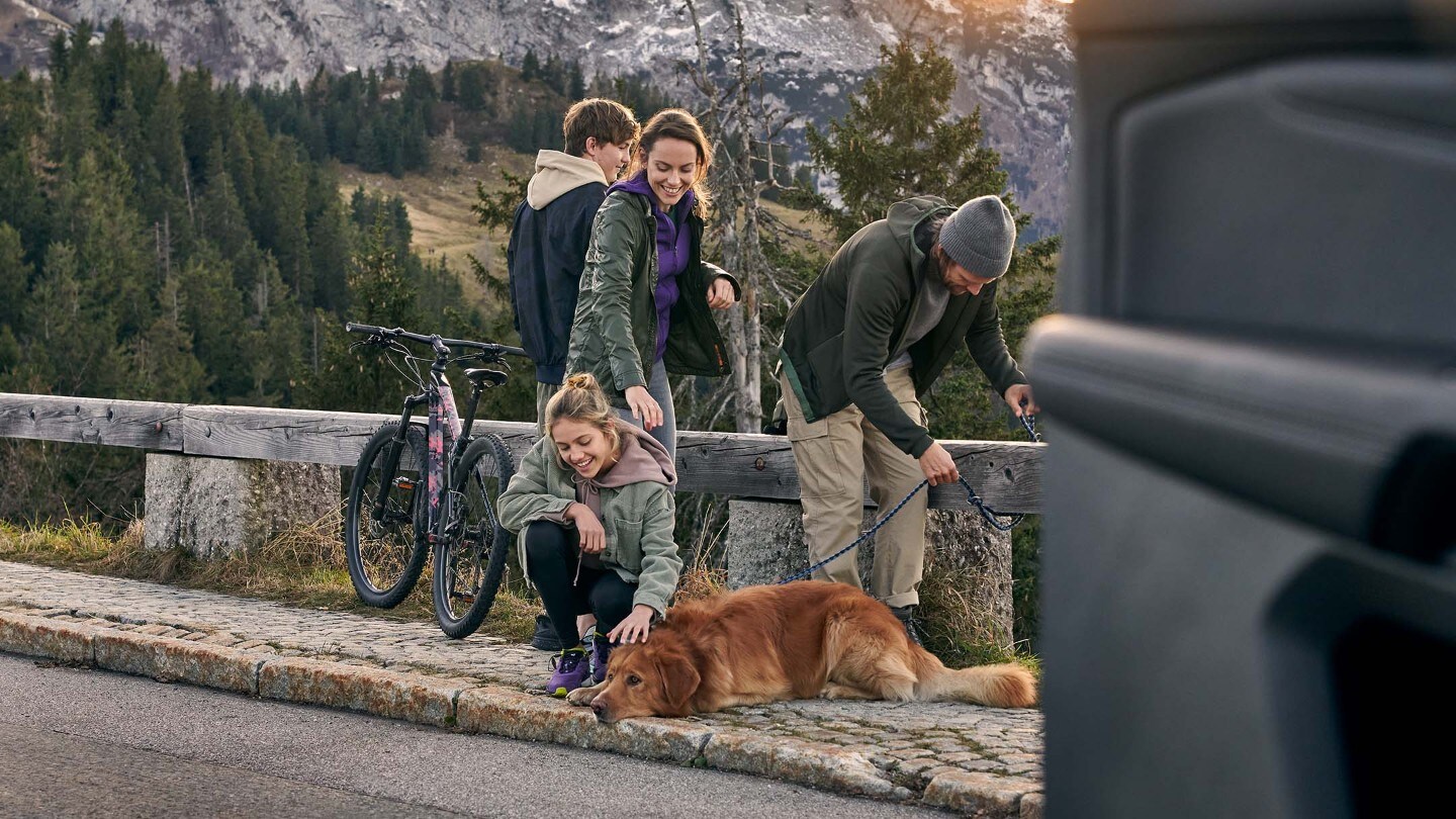 Familia con su perro en una carretera de montaña