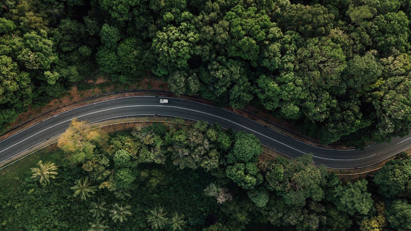 Vista desde arriba de una carretera en el bosque