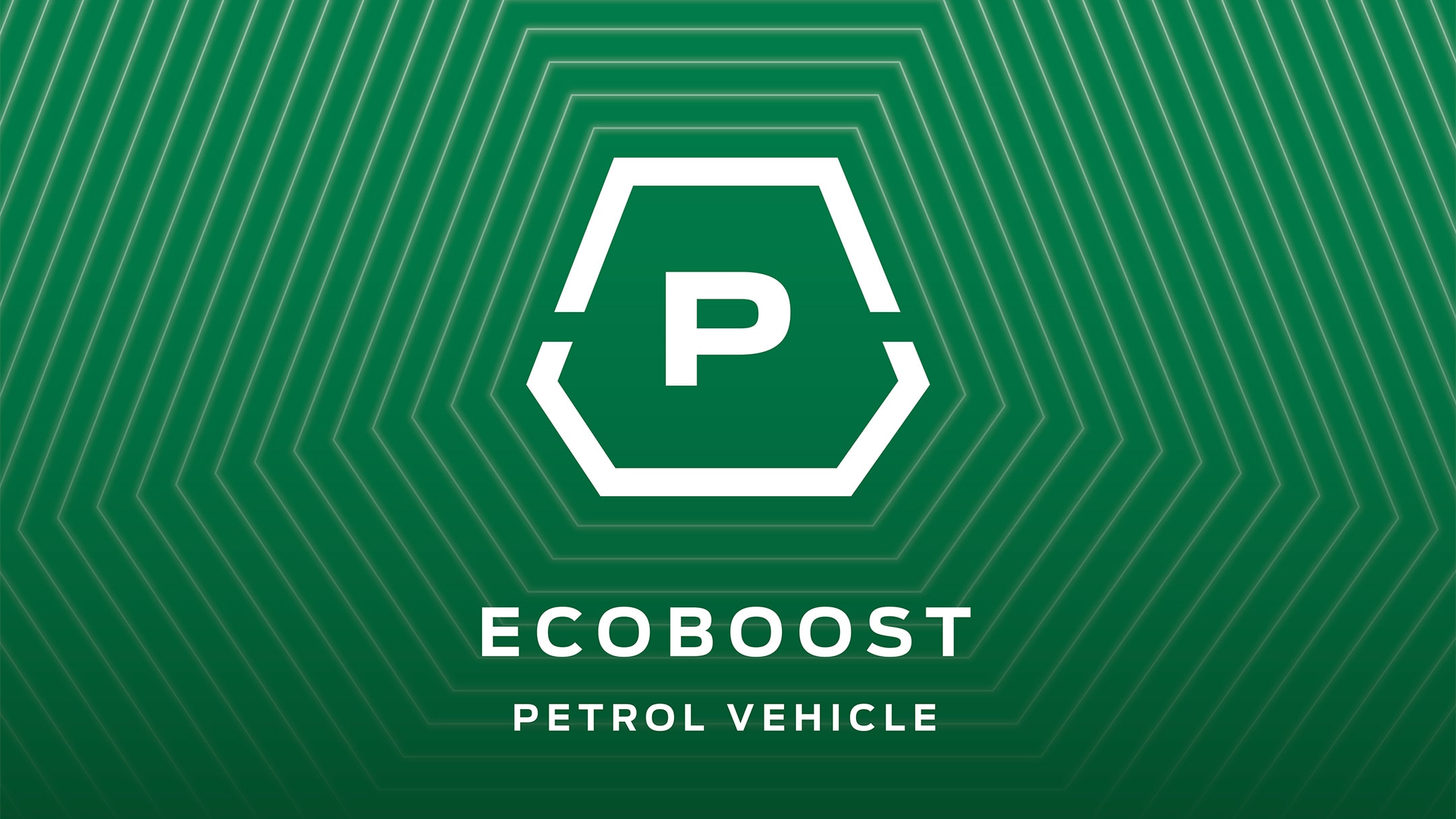 Motor gasolina Ecoboost
