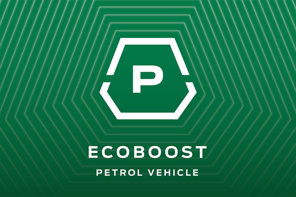 Ecoboost petrol icon